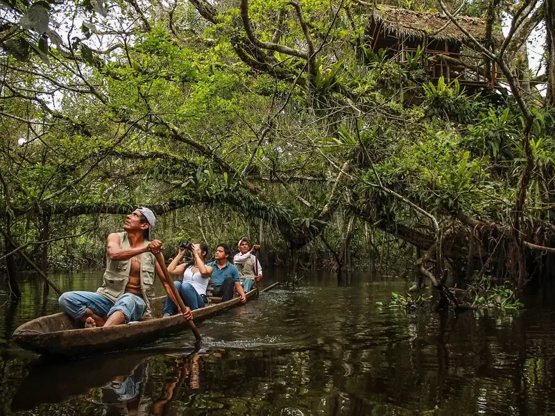 Reserva Ecológica Tingana en Moyobamba - ecoturismo